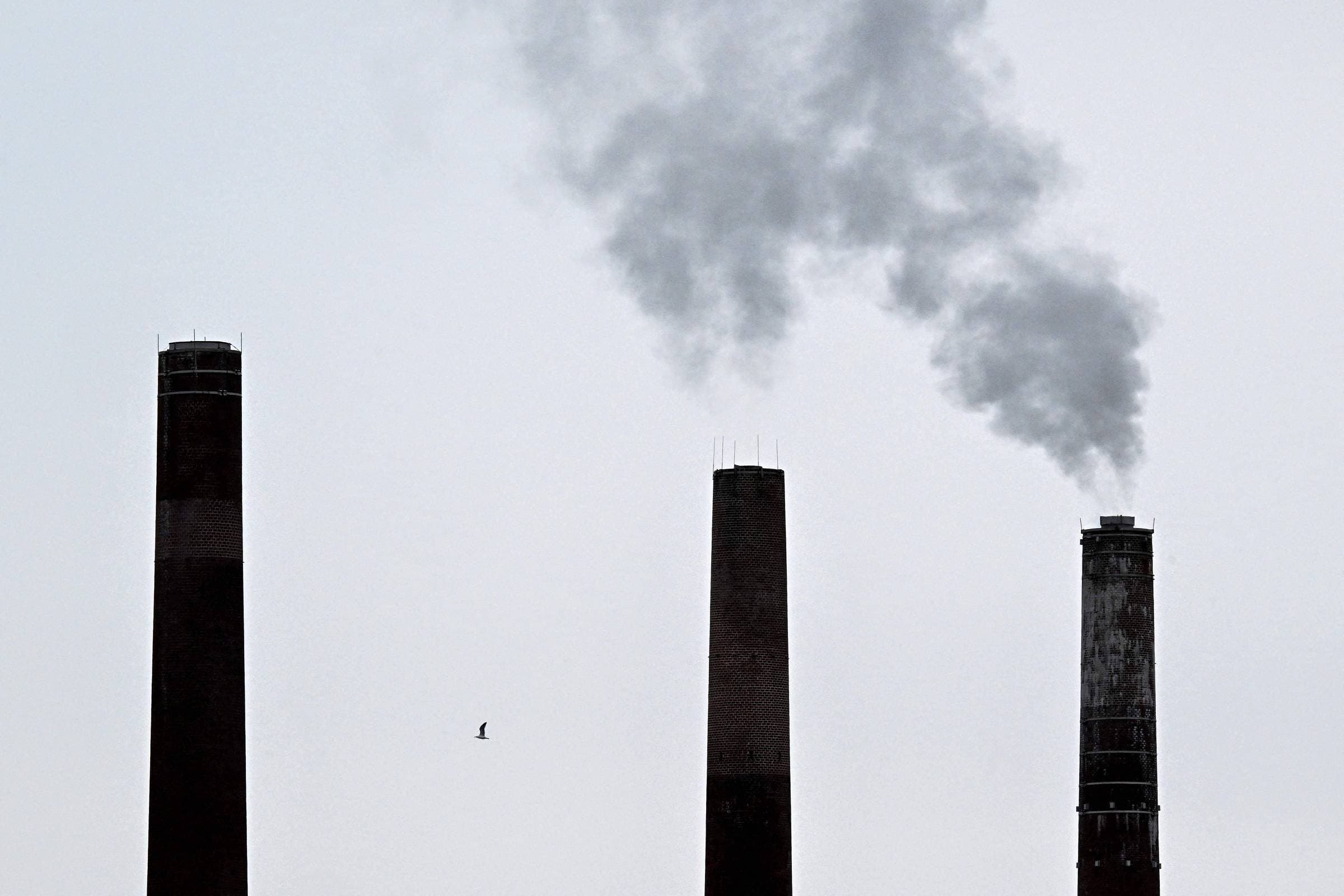 Brasil vê China como potencial compradora de créditos de carbono