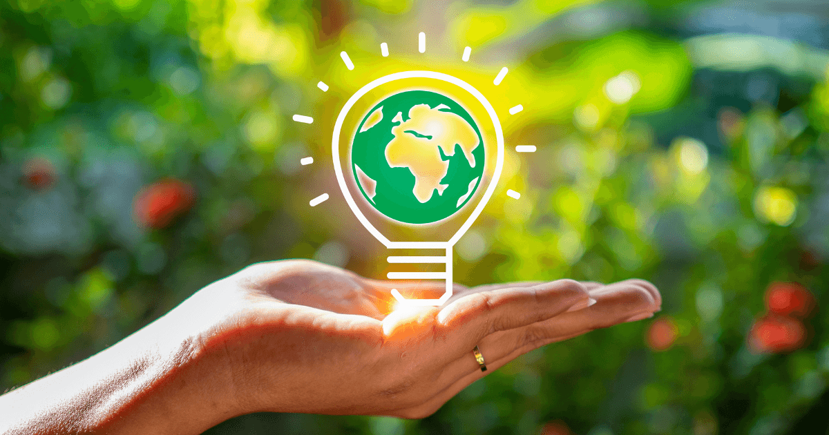 Economia Circular Inova no Agronegócio Brasileiro com Proteína Animal Sustentável