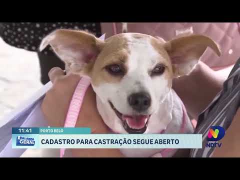 Norte de SC se prepara para Festa do Peixe, Piçarraiá e capacitação em saúde