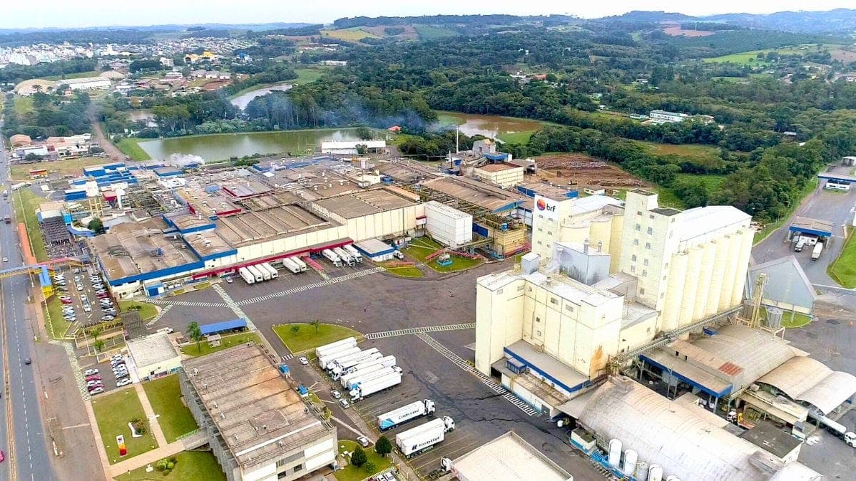 Sadia e Perdigão: Da Rivalidade Catarinense ao Império Agroindustrial de R$ 164 Bilhões