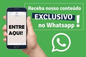 Megaoperação contra tráfico de animais silvestres cumpre dezenas de mandados em cinco estados