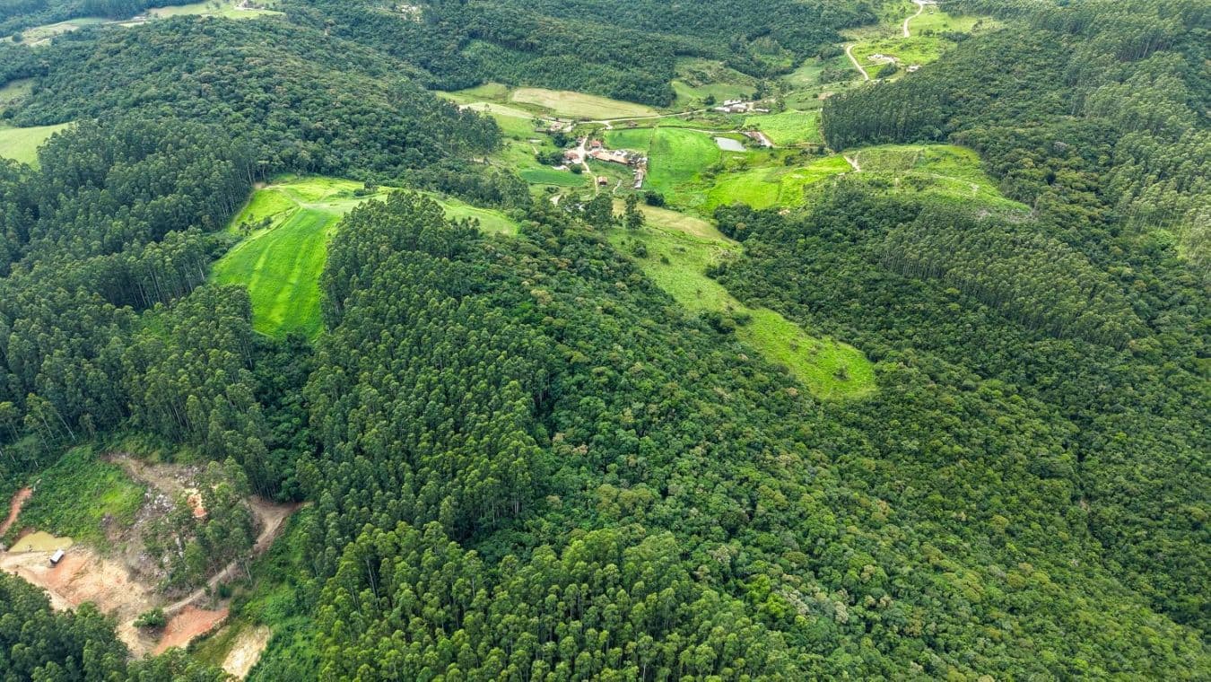 Santa Catarina lança programa de incentivo financeiro para conservação de vegetação nativa no campo