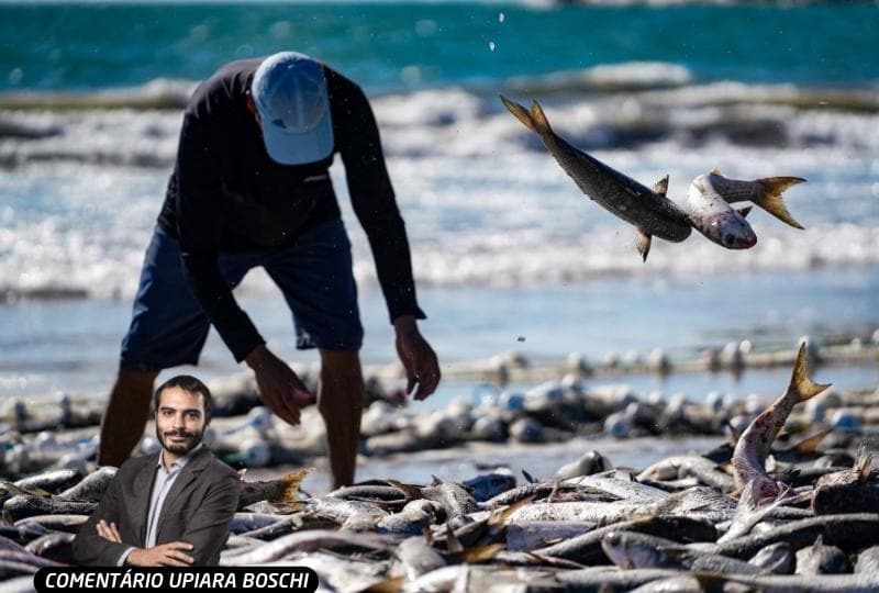 Pesca da Tainha e Linguiça Blumenau: Decisões Federais Geram Revolta em Santa Catarina