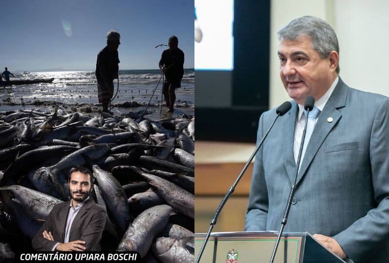 Pesca da Tainha e Disputa pelo Senado Agitam Cenário Político Catarinense