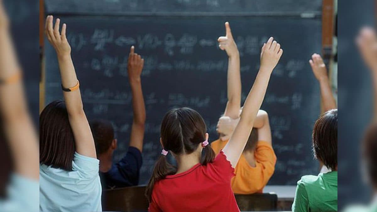 Muito dinheiro, pouco resultado: por que a educação do Brasil não avança?