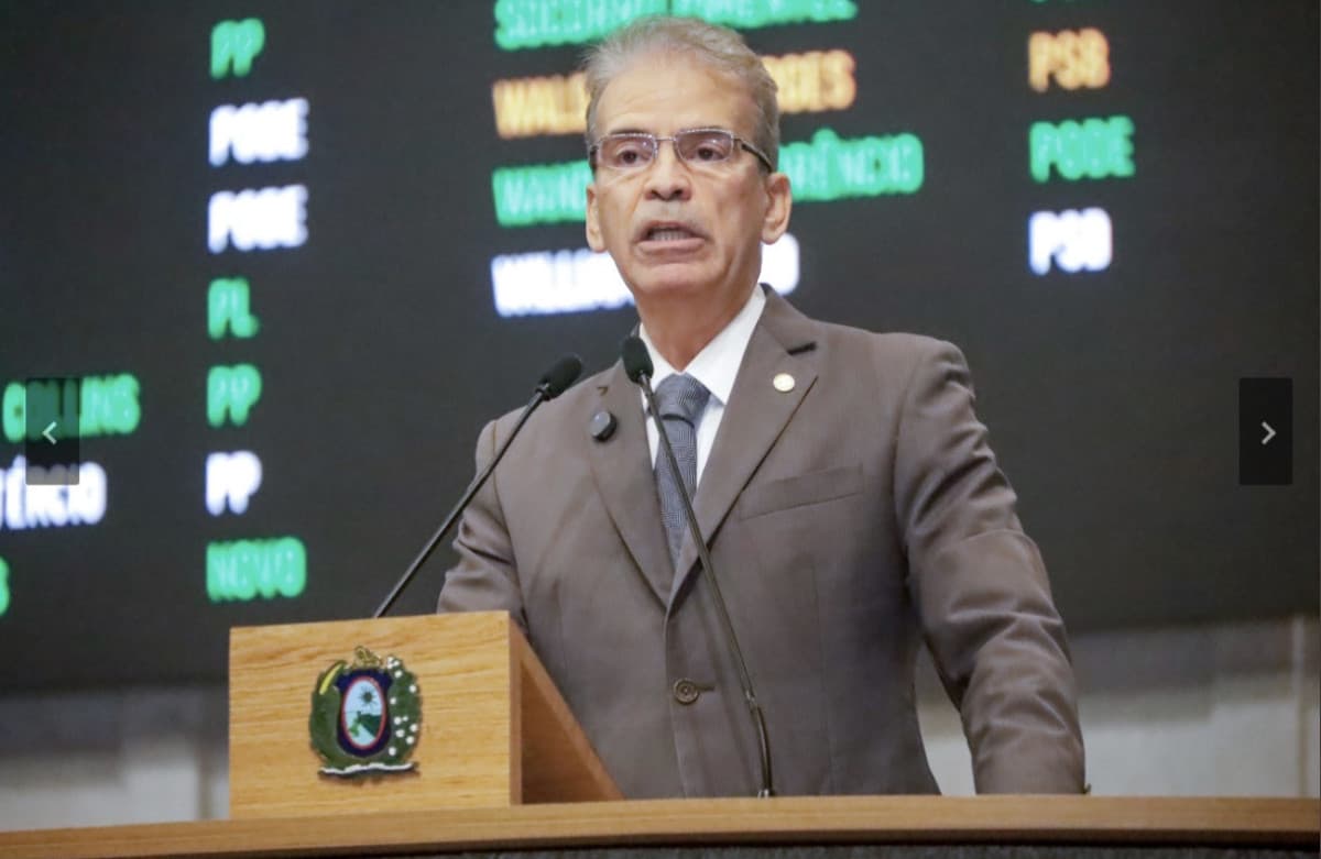 Ataques de Tubarão em Pernambuco: Deputado Cobra Plano Urgente de Segurança nas Praias