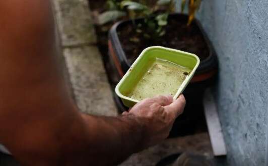 El Niño à Vista: Ministério da Saúde Alerta para Risco Elevado de Dengue e Chikungunya no Brasil