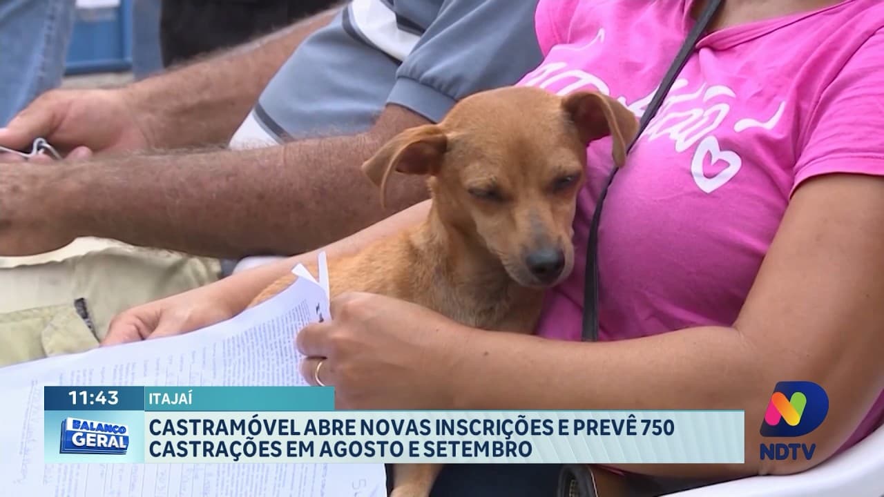 Litoral Norte de SC: Saúde, Castrações e Golfinhos em Destaque Regional