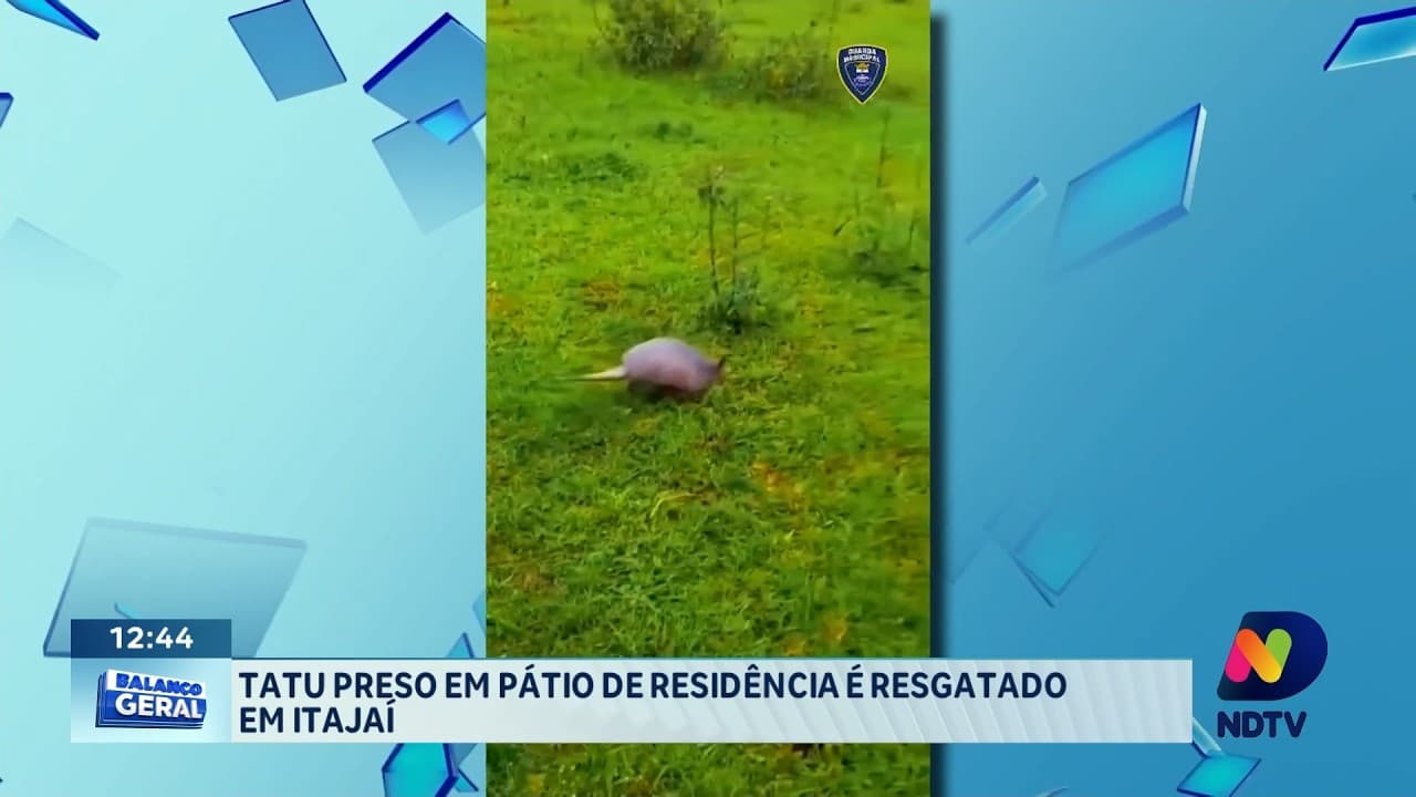 Operações Policiais e Resgate de Animal Mobilizam Litoral Norte de SC