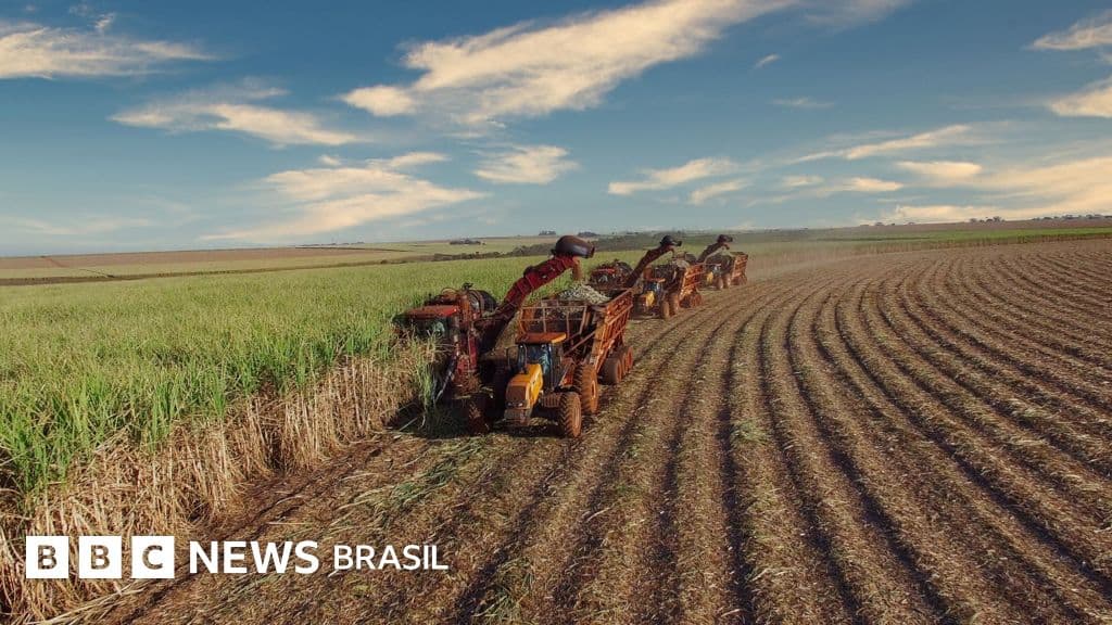 Acordo UE-Mercosul entra em vigor: o que muda para o Brasil