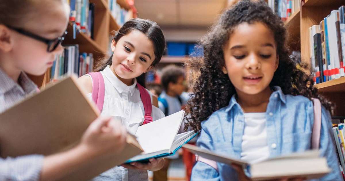 Educação como base da sociedade: a importância de valorizar professores e garantir aprendizado para todos