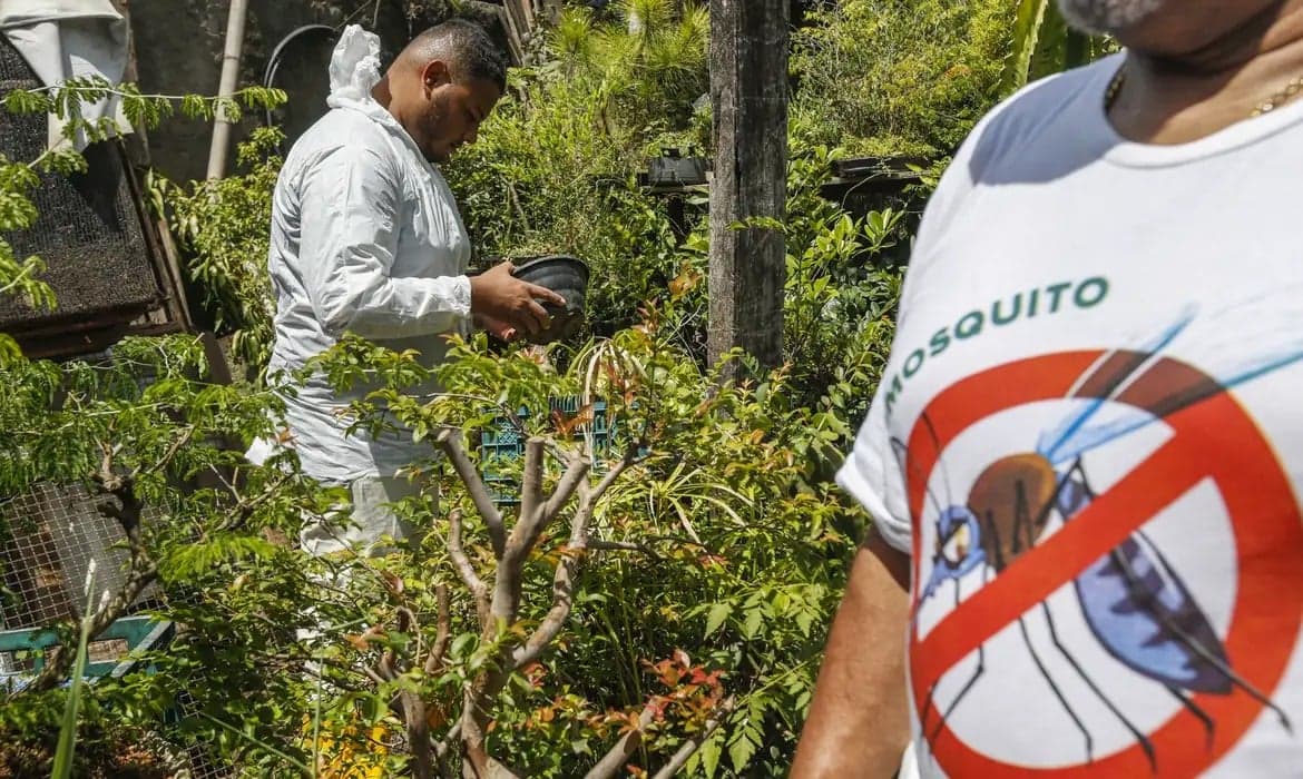 Alerta de Saúde: El Niño pode intensificar surto de dengue e chikungunya no Brasil